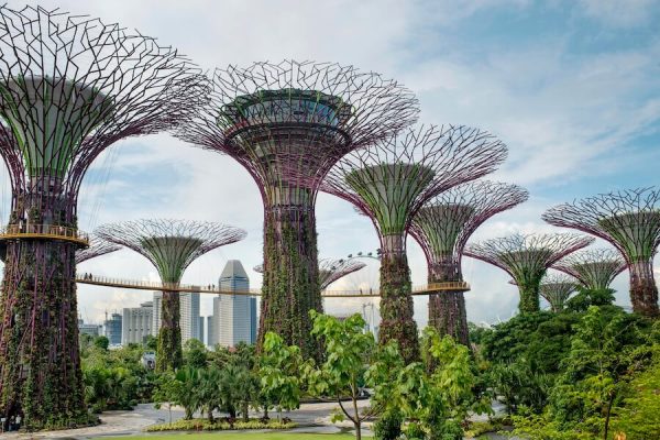 Environmental Sustainability Singapore Student Trips