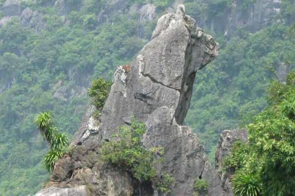 Dog Islet - Vietnam Northern Landsacpe