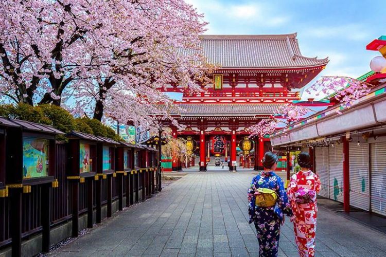 japan tours for students
