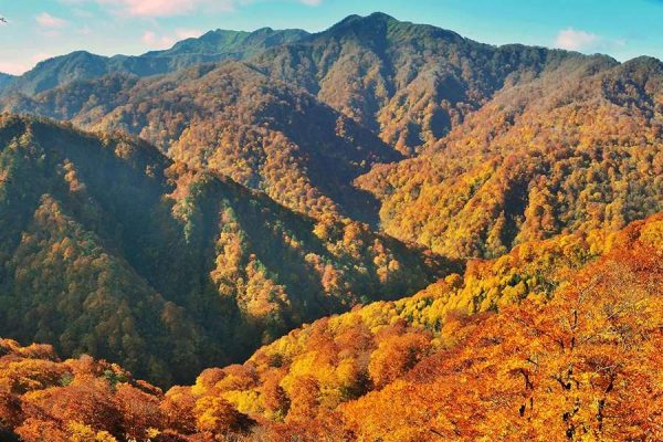 Shirakami Mountains-Japan school trips