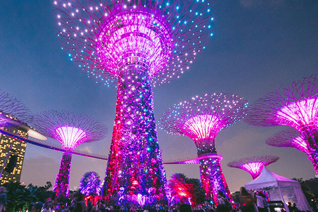 Super Tree Grove Light Show in Singapore