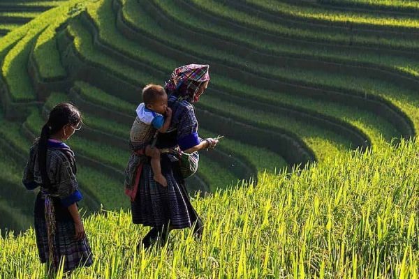 Vietnam Northern Landscape