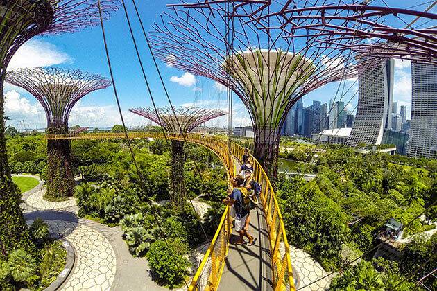 explore Garden by the Bay from Singapore school trip